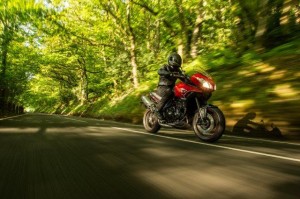 Tiger Sport 2014 3