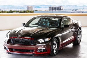 MustangKingCobra-1