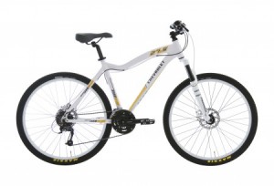Bicicleta GM 2