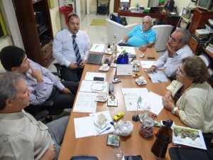 Encontro Paulista de Autos Antigos