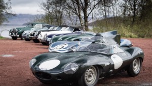 Jaguar Mini Miglia 2015