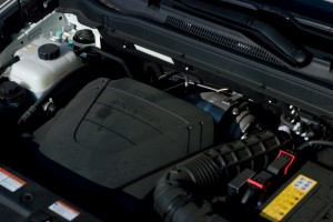 20150329-20150329-DSC_0789