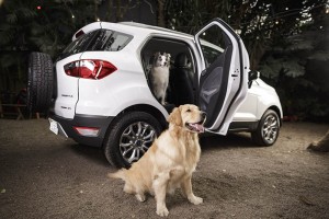 Ecosport_Pets-2