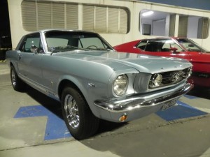 mustang