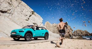 Concept Cactus M 2