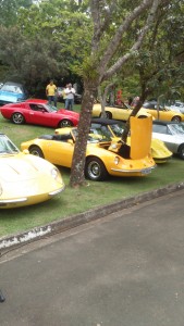 campinas 097