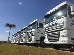 Transmasut (01)