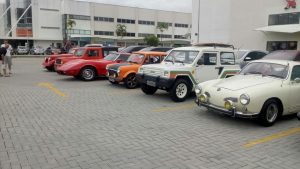 pumarj10-16-324